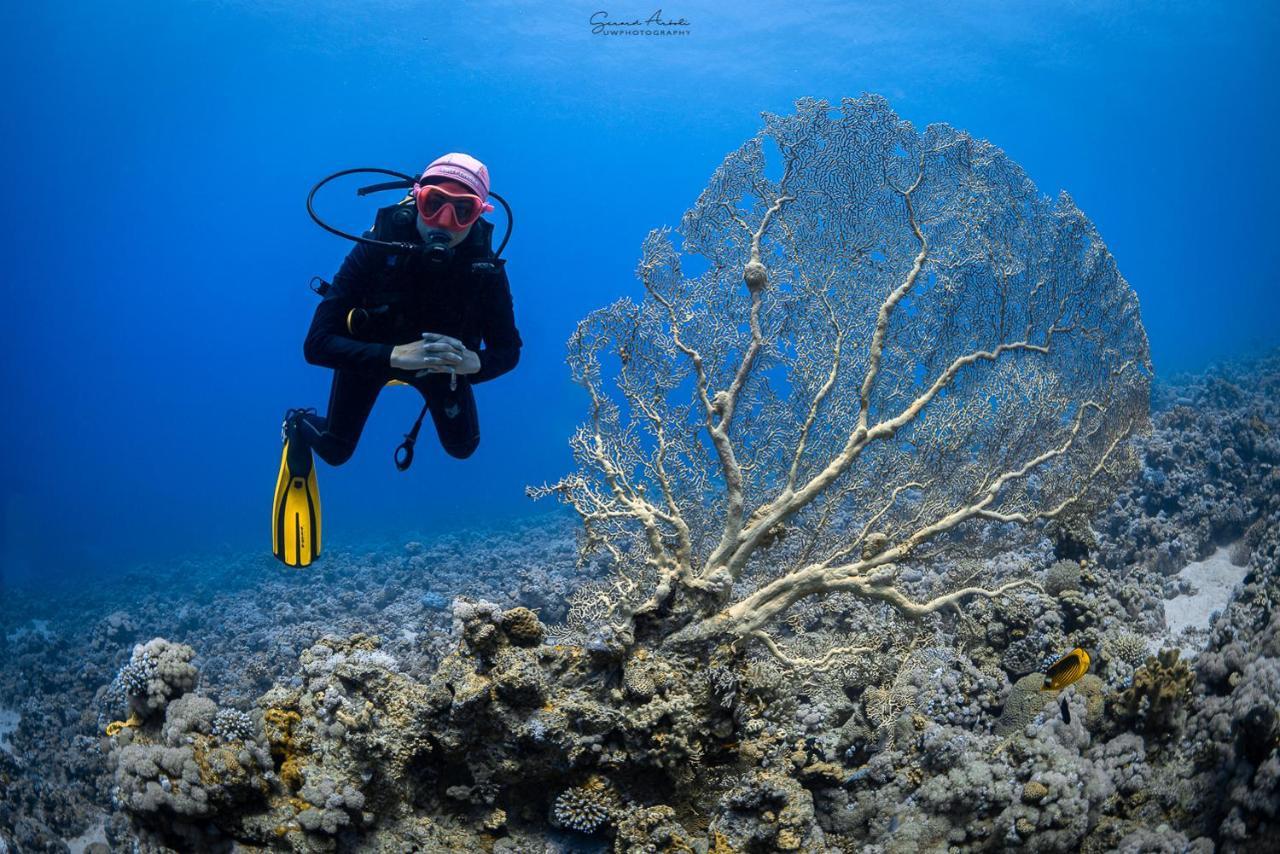 Bait Alaqaba Dive Center & Resort Kültér fotó