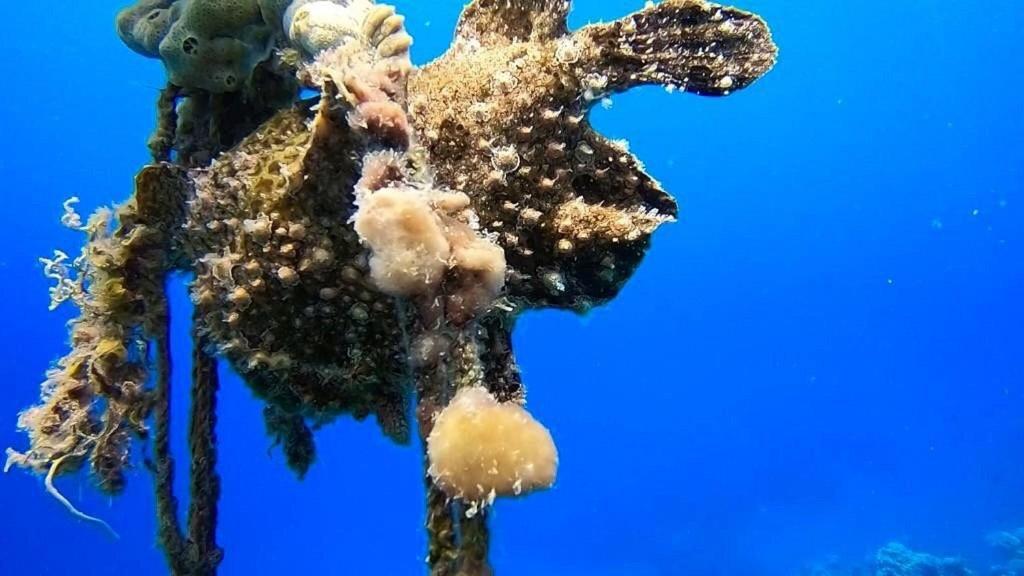 Bait Alaqaba Dive Center & Resort Kültér fotó